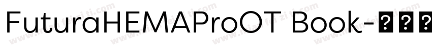 FuturaHEMAProOT Book字体转换